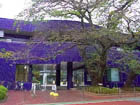 練馬区立練馬図書館の鮮やかな青の建物