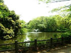 杉並区立永福図書館の近くにある和田堀公園