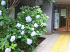 小金井市立図書館緑分室の入口