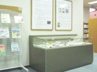 青森県立図書館のロビー