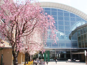さいたま市立桜図書館の外観