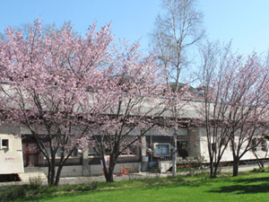 北見市立中央図書館の外観