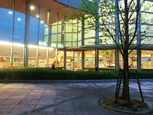 出雲市立ひかわ図書館の外観